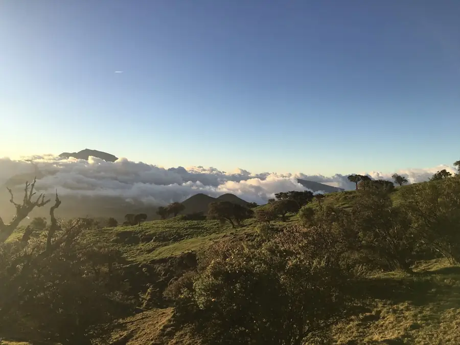 Mer de nuages au lever du soleil depuis le Maïdo